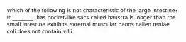 Which of the following is not characteristic of the large intestine? It ________. has pocket-like sacs called haustra is longer than the small intestine exhibits external muscular bands called teniae coli does not contain villi