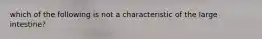which of the following is not a characteristic of the large intestine?
