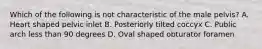 Which of the following is not characteristic of the male pelvis? A. Heart shaped pelvic inlet B. Posteriorly tilted coccyx C. Public arch less than 90 degrees D. Oval shaped obturator foramen