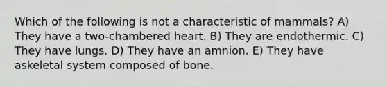 Which of the following is not a characteristic of mammals? A) They have a two-chambered heart. B) They are endothermic. C) They have lungs. D) They have an amnion. E) They have askeletal system composed of bone.