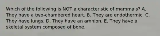 Which of the following is NOT a characteristic of mammals? A. They have a two-chambered heart. B. They are endothermic. C. They have lungs. D. They have an amnion. E. They have a skeletal system composed of bone.