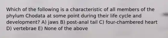 Which of the following is a characteristic of all members of the phylum Chodata at some point during their life cycle and development? A) jaws B) post-anal tail C) four-chambered heart D) vertebrae E) None of the above