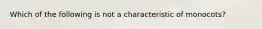 Which of the following is not a characteristic of monocots?