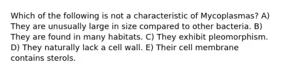 Which of the following is not a characteristic of Mycoplasmas? A) They are unusually large in size compared to other bacteria. B) They are found in many habitats. C) They exhibit pleomorphism. D) They naturally lack a cell wall. E) Their cell membrane contains sterols.