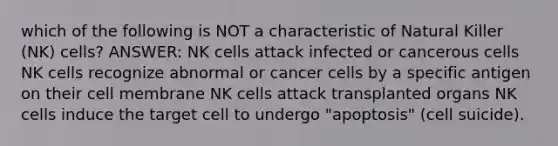 which of the following is NOT a characteristic of Natural Killer (NK) cells? ANSWER: NK cells attack infected or cancerous cells NK cells recognize abnormal or <a href='https://www.questionai.com/knowledge/kwOy5jATDM-cancer-cells' class='anchor-knowledge'>cancer cells</a> by a specific antigen on their cell membrane NK cells attack transplanted organs NK cells induce the target cell to undergo "apoptosis" (cell suicide).