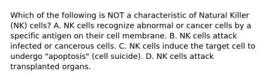 Which of the following is NOT a characteristic of Natural Killer (NK) cells? A. NK cells recognize abnormal or cancer cells by a specific antigen on their cell membrane. B. NK cells attack infected or cancerous cells. C. NK cells induce the target cell to undergo "apoptosis" (cell suicide). D. NK cells attack transplanted organs.