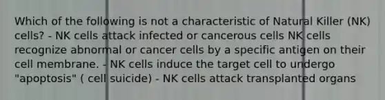 Which of the following is not a characteristic of Natural Killer (NK) cells? - NK cells attack infected or cancerous cells NK cells recognize abnormal or cancer cells by a specific antigen on their cell membrane. - NK cells induce the target cell to undergo "apoptosis" ( cell suicide) - NK cells attack transplanted organs