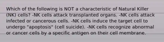 Which of the following is NOT a characteristic of Natural Killer (NK) cells? -NK cells attack transplanted organs. -NK cells attack infected or cancerous cells. -NK cells induce the target cell to undergo "apoptosis" (cell suicide). -NK cells recognize abnormal or cancer cells by a specific antigen on their cell membrane.