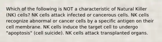 Which of the following is NOT a characteristic of Natural Killer (NK) cells? NK cells attack infected or cancerous cells. NK cells recognize abnormal or cancer cells by a specific antigen on their cell membrane. NK cells induce the target cell to undergo "apoptosis" (cell suicide). NK cells attack transplanted organs.