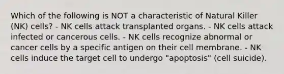 Which of the following is NOT a characteristic of Natural Killer (NK) cells? - NK cells attack transplanted organs. - NK cells attack infected or cancerous cells. - NK cells recognize abnormal or cancer cells by a specific antigen on their cell membrane. - NK cells induce the target cell to undergo "apoptosis" (cell suicide).