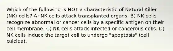 Which of the following is NOT a characteristic of Natural Killer (NK) cells? A) NK cells attack transplanted organs. B) NK cells recognize abnormal or cancer cells by a specific antigen on their cell membrane. C) NK cells attack infected or cancerous cells. D) NK cells induce the target cell to undergo "apoptosis" (cell suicide).