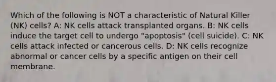 Which of the following is NOT a characteristic of Natural Killer (NK) cells? A: NK cells attack transplanted organs. B: NK cells induce the target cell to undergo "apoptosis" (cell suicide). C: NK cells attack infected or cancerous cells. D: NK cells recognize abnormal or cancer cells by a specific antigen on their cell membrane.