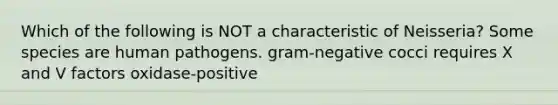 Which of the following is NOT a characteristic of Neisseria? Some species are human pathogens. gram-negative cocci requires X and V factors oxidase-positive