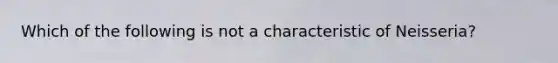 Which of the following is not a characteristic of Neisseria?