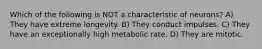 Which of the following is NOT a characteristic of neurons? A) They have extreme longevity. B) They conduct impulses. C) They have an exceptionally high metabolic rate. D) They are mitotic.