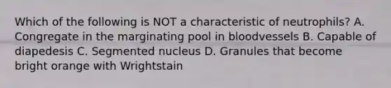 Which of the following is NOT a characteristic of neutrophils? A. Congregate in the marginating pool in bloodvessels B. Capable of diapedesis C. Segmented nucleus D. Granules that become bright orange with Wrightstain