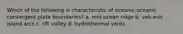 Which of the following is characteristic of oceanic-oceanic convergent plate boundaries? a. mid ocean ridge b. volcanic island arcs c. rift valley d. hydrothermal vents