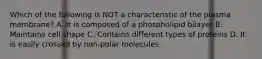 Which of the following is NOT a characteristic of the plasma membrane? A. It is composed of a phospholipid bilayer B. Maintains cell shape C. Contains different types of proteins D. It is easily crossed by non-polar molecules