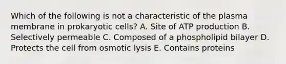 Which of the following is not a characteristic of the plasma membrane in prokaryotic cells? A. Site of ATP production B. Selectively permeable C. Composed of a phospholipid bilayer D. Protects the cell from osmotic lysis E. Contains proteins