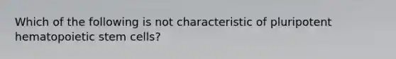 Which of the following is not characteristic of pluripotent hematopoietic stem cells?
