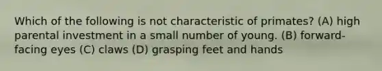 Which of the following is not characteristic of primates? (A) high parental investment in a small number of young. (B) forward-facing eyes (C) claws (D) grasping feet and hands