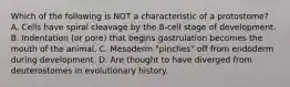 Which of the following is NOT a characteristic of a protostome? A. Cells have spiral cleavage by the 8-cell stage of development. B. Indentation (or pore) that begins gastrulation becomes the mouth of the animal. C. Mesoderm "pinches" off from endoderm during development. D. Are thought to have diverged from deuterostomes in evolutionary history.