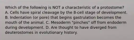 Which of the following is NOT a characteristic of a protostome? A. Cells have spiral cleavage by the 8-cell stage of development. B. Indentation (or pore) that begins gastrulation becomes the mouth of the animal. C. Mesoderm "pinches" off from endoderm during development. D. Are thought to have diverged from deuterostomes in evolutionary history.