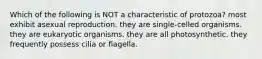 Which of the following is NOT a characteristic of protozoa? most exhibit asexual reproduction. they are single-celled organisms. they are eukaryotic organisms. they are all photosynthetic. they frequently possess cilia or flagella.