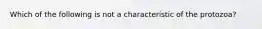 Which of the following is not a characteristic of the protozoa?