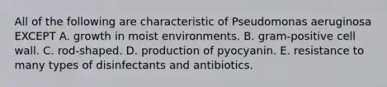 All of the following are characteristic of Pseudomonas aeruginosa EXCEPT A. growth in moist environments. B. gram-positive cell wall. C. rod-shaped. D. production of pyocyanin. E. resistance to many types of disinfectants and antibiotics.