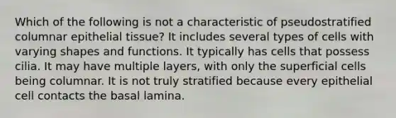 Which of the following is not a characteristic of pseudostratified columnar epithelial tissue? It includes several types of cells with varying shapes and functions. It typically has cells that possess cilia. It may have multiple layers, with only the superficial cells being columnar. It is not truly stratified because every epithelial cell contacts the basal lamina.