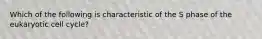 Which of the following is characteristic of the S phase of the eukaryotic cell cycle?