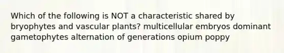 Which of the following is NOT a characteristic shared by bryophytes and vascular plants? multicellular embryos dominant gametophytes alternation of generations opium poppy