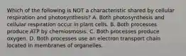 Which of the following is NOT a characteristic shared by cellular respiration and photosynthesis? A. Both photosynthesis and cellular respiration occur in plant cells. B. Both processes produce ATP by chemiosmosis. C. Both processes produce oxygen. D. Both processes use an electron transport chain located in membranes of organelles.