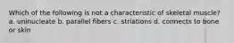 Which of the following is not a characteristic of skeletal muscle? a. uninucleate b. parallel fibers c. striations d. connects to bone or skin