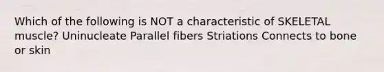 Which of the following is NOT a characteristic of SKELETAL muscle? Uninucleate Parallel fibers Striations Connects to bone or skin