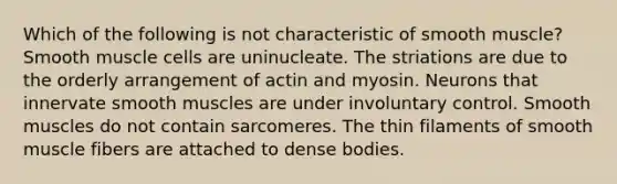 Which of the following is not characteristic of smooth muscle? Smooth muscle cells are uninucleate. The striations are due to the orderly arrangement of actin and myosin. Neurons that innervate smooth muscles are under involuntary control. Smooth muscles do not contain sarcomeres. The thin filaments of smooth muscle fibers are attached to dense bodies.