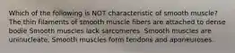 Which of the following is NOT characteristic of smooth muscle? The thin filaments of smooth muscle fibers are attached to dense bodie Smooth muscles lack sarcomeres. Smooth muscles are uninucleate. Smooth muscles form tendons and aponeuroses.