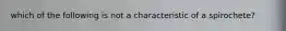 which of the following is not a characteristic of a spirochete?