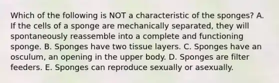 Which of the following is NOT a characteristic of the sponges? A. If the cells of a sponge are mechanically separated, they will spontaneously reassemble into a complete and functioning sponge. B. Sponges have two tissue layers. C. Sponges have an osculum, an opening in the upper body. D. Sponges are filter feeders. E. Sponges can reproduce sexually or asexually.