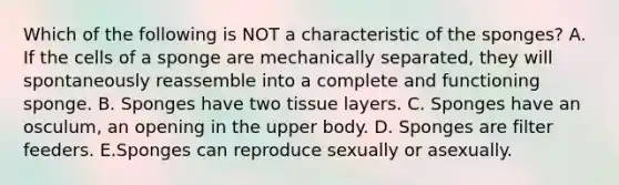 Which of the following is NOT a characteristic of the sponges? A. If the cells of a sponge are mechanically separated, they will spontaneously reassemble into a complete and functioning sponge. B. Sponges have two tissue layers. C. Sponges have an osculum, an opening in the upper body. D. Sponges are filter feeders. E.Sponges can reproduce sexually or asexually.