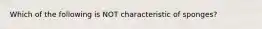 Which of the following is NOT characteristic of sponges?