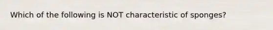 Which of the following is NOT characteristic of sponges?