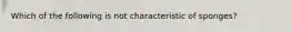 Which of the following is not characteristic of sponges?