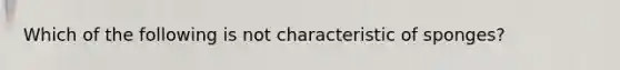 Which of the following is not characteristic of sponges?