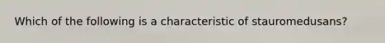 Which of the following is a characteristic of stauromedusans?