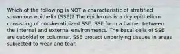 Which of the following is NOT a characteristic of stratified squamous epithelia (SSE)? The epidermis is a dry epithelium consisting of non-keratinized SSE. SSE form a barrier between the internal and external environments. The basal cells of SSE are cuboidal or columnar. SSE protect underlying tissues in areas subjected to wear and tear.