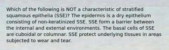 Which of the following is NOT a characteristic of stratified squamous epithelia (SSE)? The epidermis is a dry epithelium consisting of non-keratinized SSE. SSE form a barrier between the internal and external environments. The basal cells of SSE are cuboidal or columnar. SSE protect underlying tissues in areas subjected to wear and tear.