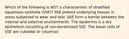 Which of the following is NOT a characteristic of stratified squamous epithelia (SSE)? SSE protect underlying tissues in areas subjected to wear and tear. SSE form a barrier between the internal and external environments. The epidermis is a dry epithelium consisting of non-keratinized SSE. The basal cells of SSE are cuboidal or columnar.