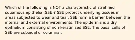 Which of the following is NOT a characteristic of stratified squamous epithelia (SSE)? SSE protect underlying tissues in areas subjected to wear and tear. SSE form a barrier between the internal and external environments. The epidermis is a dry epithelium consisting of non-keratinized SSE. The basal cells of SSE are cuboidal or columnar.